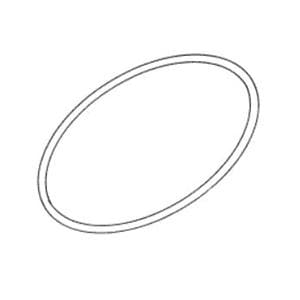 Gasket For Aquaclave 10, Chemiclave 4000, 5000 & E Ea