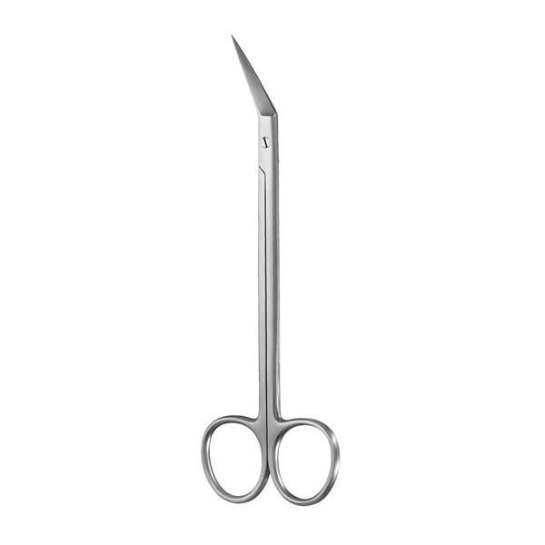 Surgical Scissors 6.25 in Locklin Ea