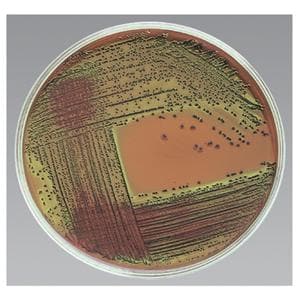 Culture EMB Agar Levine Prepared Monoplate 100/Pk