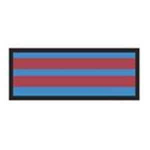 ColorTrack Instrument ID Tape Blue/Red Stripe 8-1/2x11" Disposable Ea