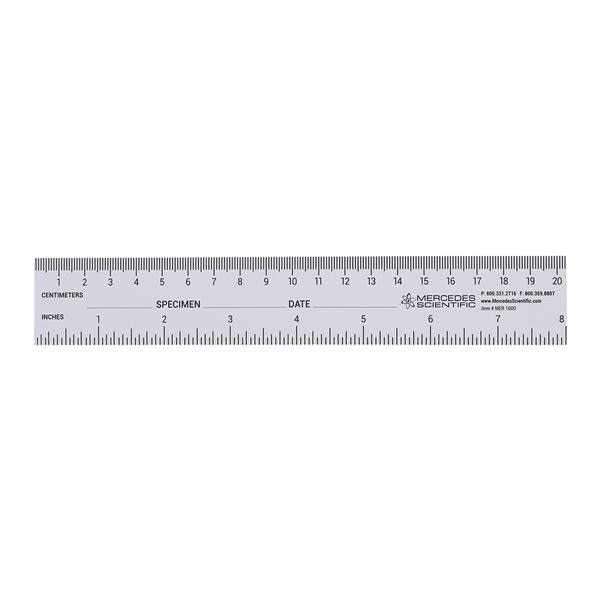 Specimen/ Date Fields Ruler Paper 250/Pk