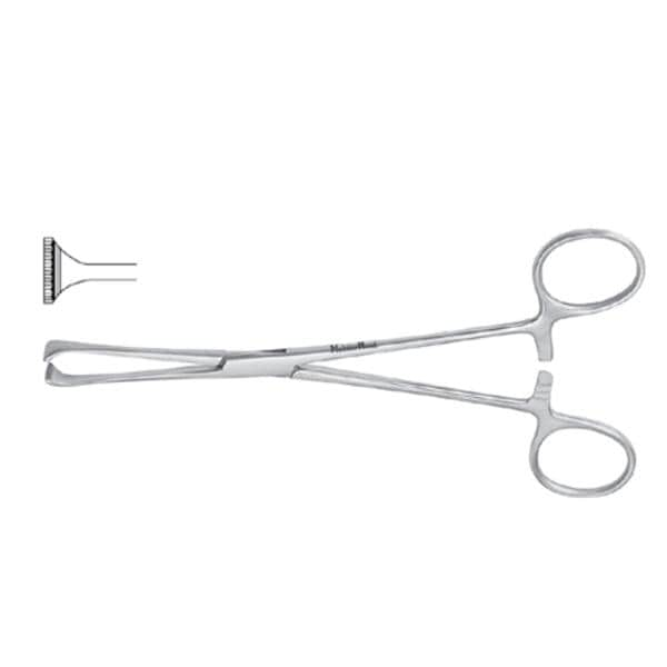 Meister-Hand Allis Tissue Forcep 6-1/2" Ea