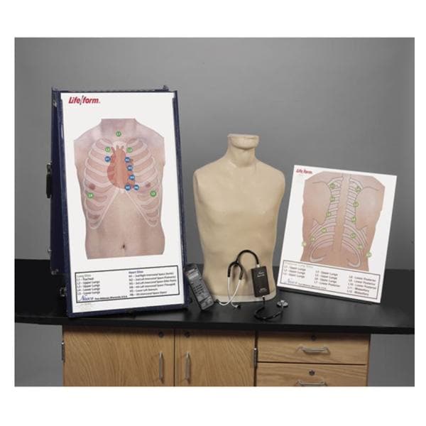 Life/form Auscultation Training Station Ea