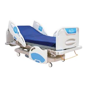 Bed Electric With Side Rail Controls Ea