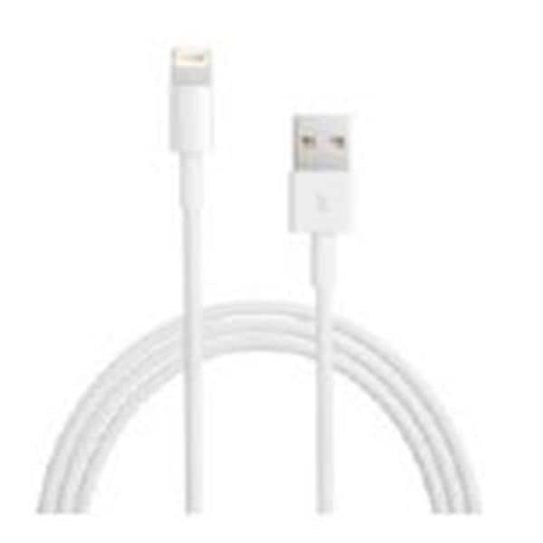 Cable USB Apple Lighting 6.5ft Ea