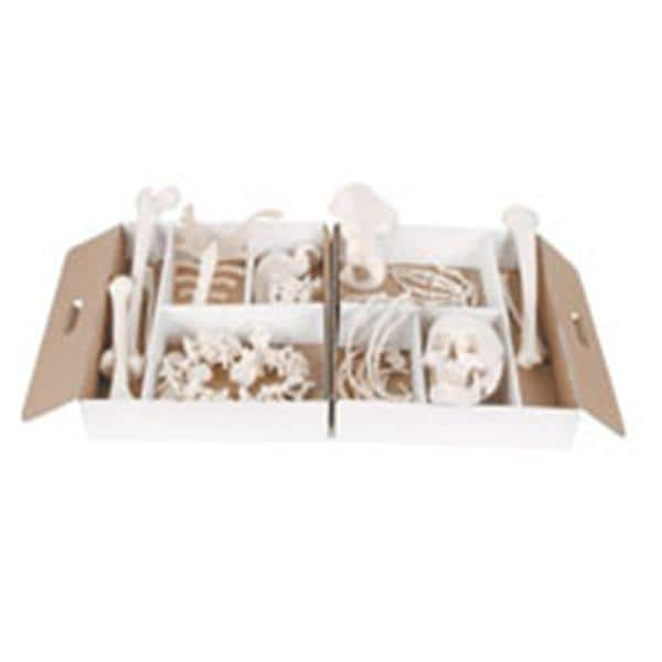 Disarticulated Skeleton Ea