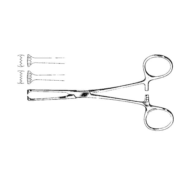 Allis Tissue Forcep Straight 6-1/8" Ea