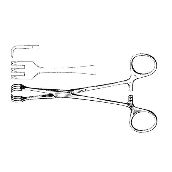 Lahey Traction Forcep 6-1/4" Ea