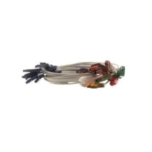 Wire Set New Clip 10 Lead Ea