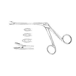 Blakesley Forcep Straight 4-1/2" Ea