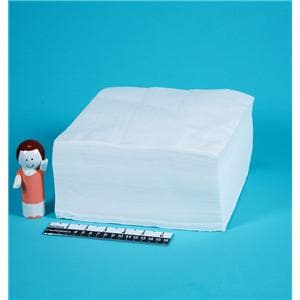 Clean Room Wipes 300/Pk