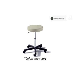 Ritter Value Series Exam Stool Shaded Garden 225lb Capacity