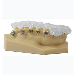 Denture Tray Ea