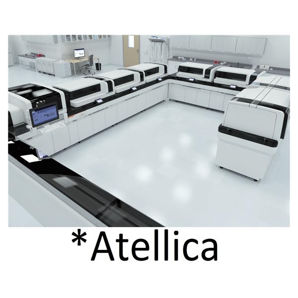 Atellica Dbil 2 Reagent 4x448 Test Ea