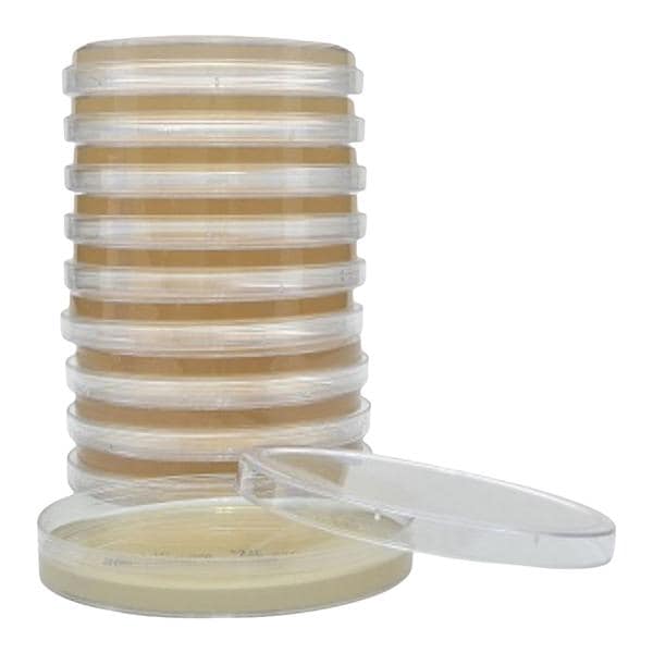 SabDex Agar For Yeast and Fungi 10/Pk