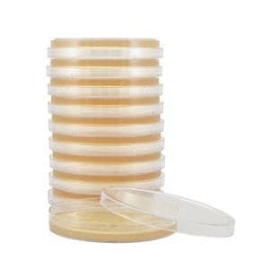 Trypticase Soy Agar Plate 10/Pk