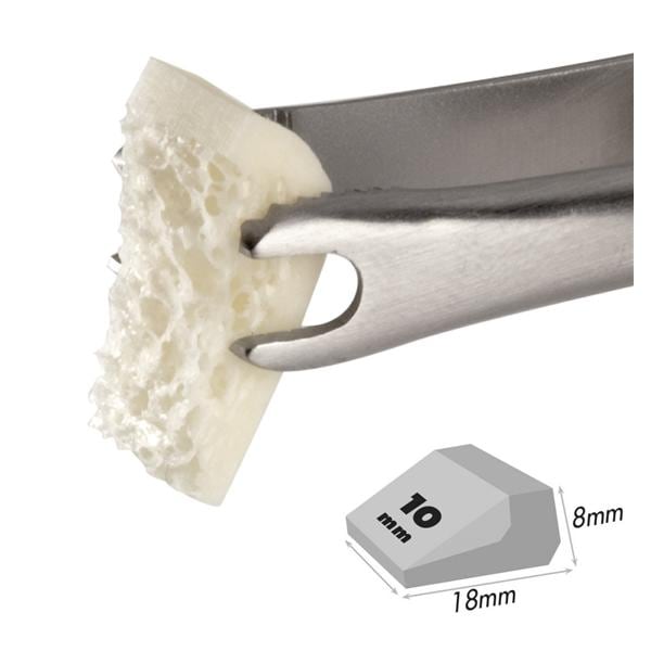 alloOss Bone Graft Block Allograft bone 10 mm Ea