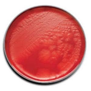 BBL Prepared Media CDC Anaerobe 5% Sheep Blood Agar Plate 100/Bx