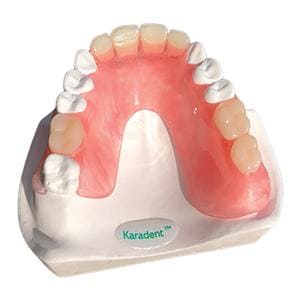 TCS Karadent Partial Denture Sample Model Ea