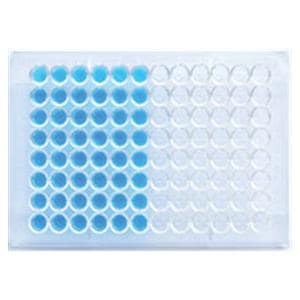 ELISA HSV 1 IgG Test Kit 96 Count Ea