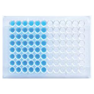 ELISA Test Kit RF: Rheumatoid Factor 96 Count Ea