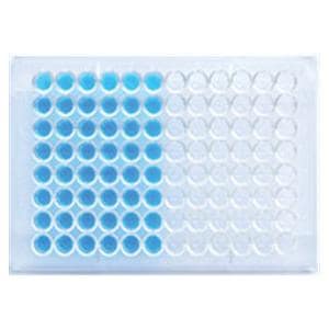 ELISA Test Kit Anti-Scl-70 96 Count Ea