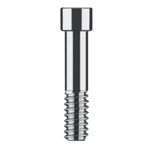 Ti Abutment Screw 1/Bag