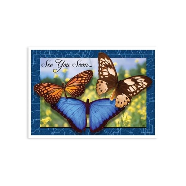 Laser 4-Up Recall Cards 3 Butterflies 8.5 in x 11 in 200/Pk