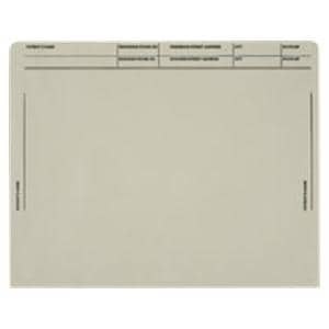 File Envelope Pre-Printed #28Gray 250/Bx