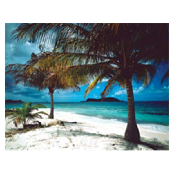 CeilingScenes Acoustic Tile Palm Tree on Beach 4-Tiles Square 24 in x 24 in Ea