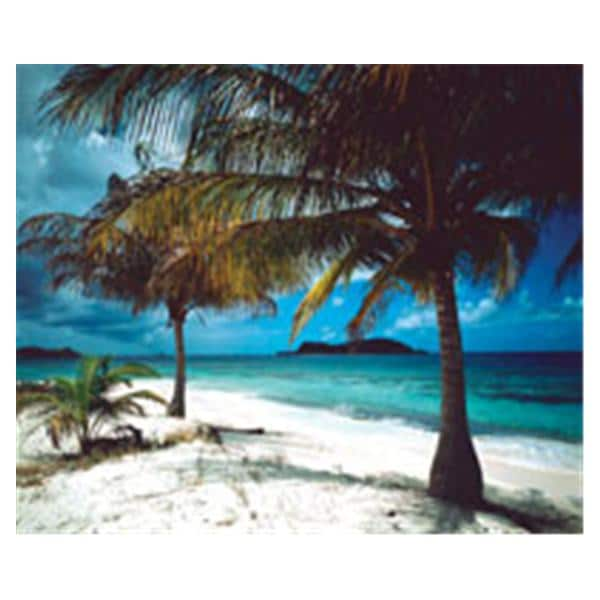 CeilingScenes Acoustic Tile Palm Tree on Beach 1-Tile Square 24 in x 24 in Ea