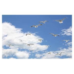 CeilingScenes Light Lens Seagull Sky 2-Tiles Vertical 24 in x 48 in Ea