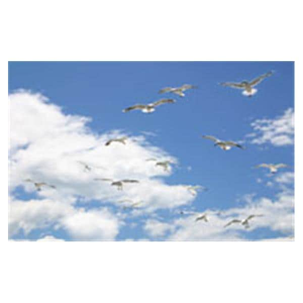 CeilingScenes Light Lens Seagull Sky 2-Tiles Vertical 24 in x 48 in Ea