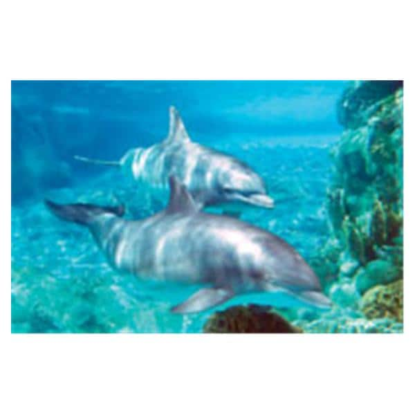 CeilingScenes Light Lens Dolphins 1-Tile Square 24 in x 24 in Ea