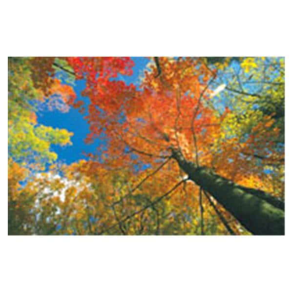 CeilingScenes Light Lens Fall Tree Sky 2-Tiles Vertical 24 in x 48 in Ea