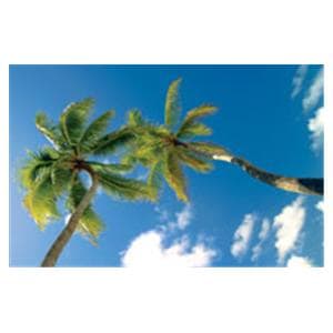 CeilingScenes Light Lens Palms Sky 1-Tile Horizontal 48 in x 24 in Ea