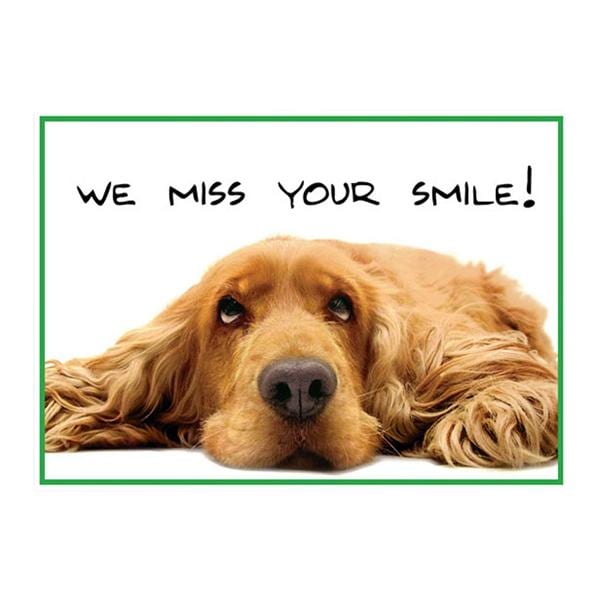 Imprinted Recall Cards Dog We Miss Smile 4 in x 6 in 250/Pk