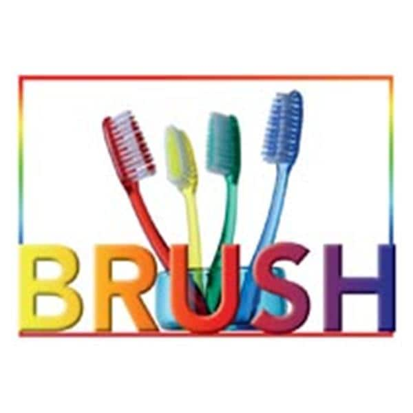 Imprinted Recall Cards Brush 4 Brushes 4 in x 6 in 250/Pk