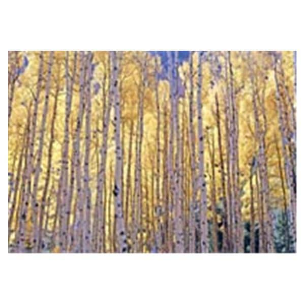 CeilingScenes Acoustic Tile Birch Tree Fall 2-Tiles Vertical 24 in x 24 in Ea