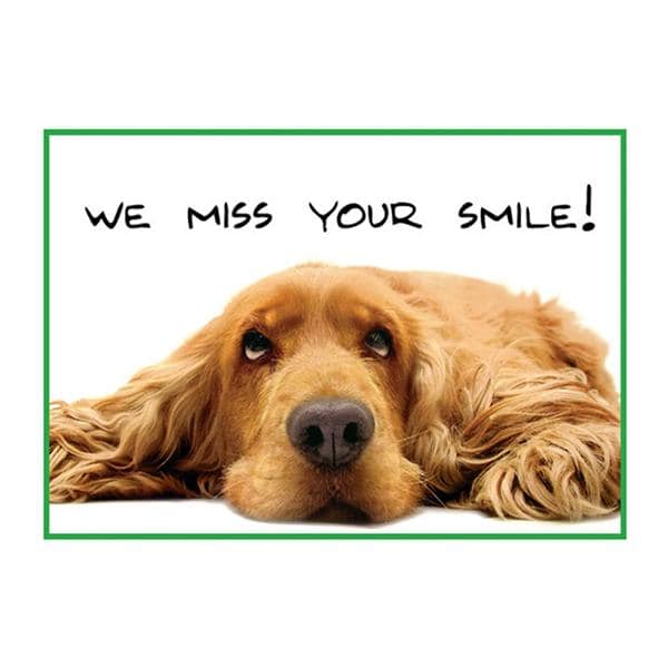 Laser 4-Up Recall Cards Dog We Miss Smile 8.5 in x 11 in 200/Pk