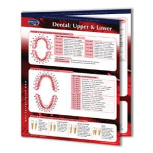 Dental Charts Laminated Dental: Upper & Lower 2 Panels English Ea