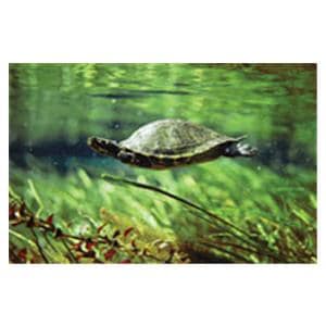 CeilingScenes Light Lens Turtle 1-Tile Square 24 in x 24 in Ea