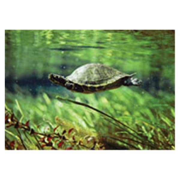 CeilingScenes Acoustic Tile Turtle 1-Tile Square 24 in x 24 in Ea