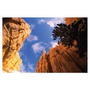 CeilingScenes Light Lens Stone Canyon 2-Tiles Vertical 24 in x 24 in Ea