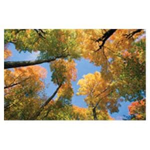 CeilingScenes Acoustic Tile Maple Tree 2-Tiles Vertical 24 in x 48 in Ea