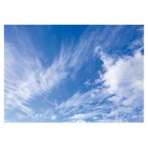 CeilingScenes Acoustic Tile Fall Clouds 1-Tile Square 24 in x 24 in Ea