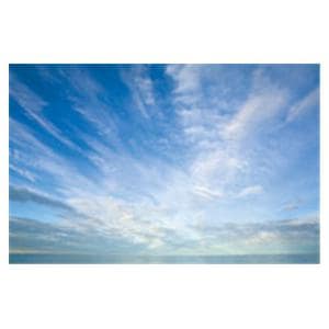 CeilingScenes Light Lens Cumulus Clouds 2-Tiles Horizontal 48 in x 24 in Ea