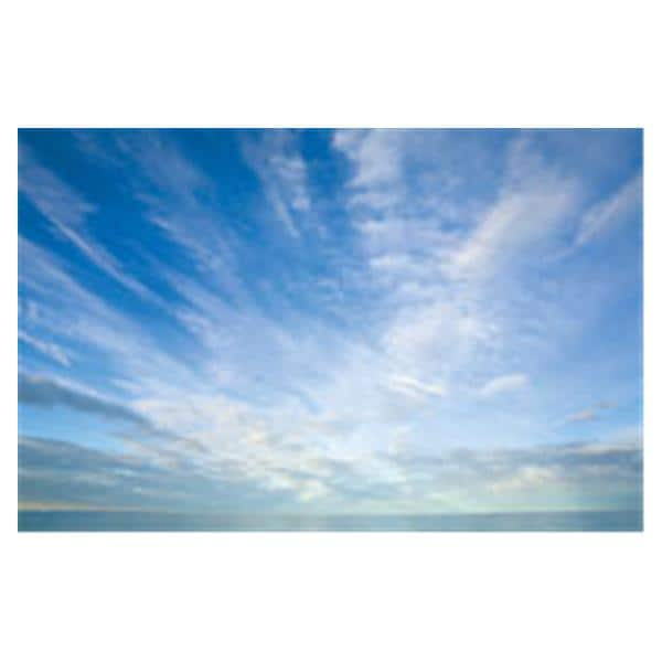 CeilingScenes Light Lens Cumulus Clouds 2-Tiles Horizontal 48 in x 24 in Ea