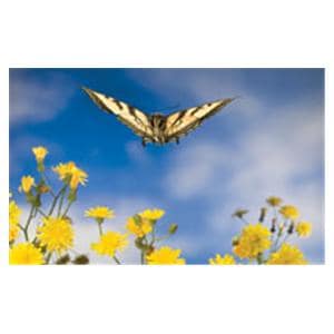 CeilingScenes Light Lens Butterfly Landing 2-Tiles Vertical 24 in x 24 in Ea