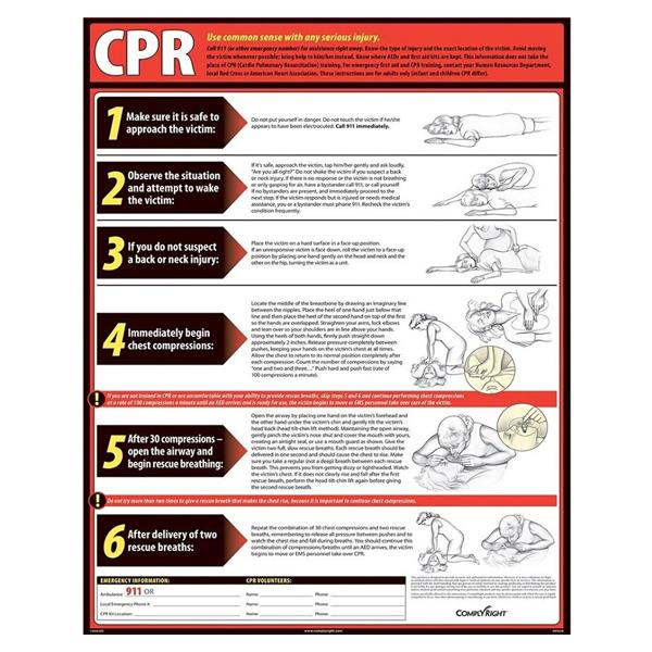 Poster Lifesaving CPR English Ea